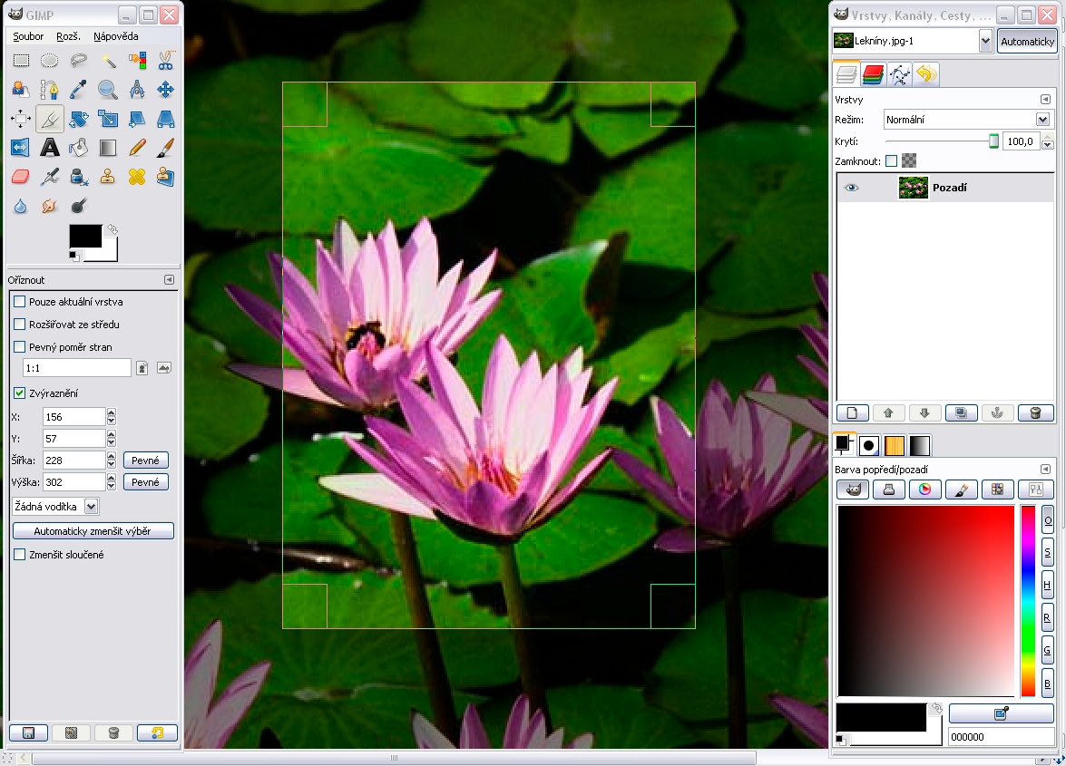 Photo manipulation and image design: The Gimp Windows_crop