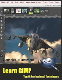 Learn GIMP: Top 10 Professional Techniques