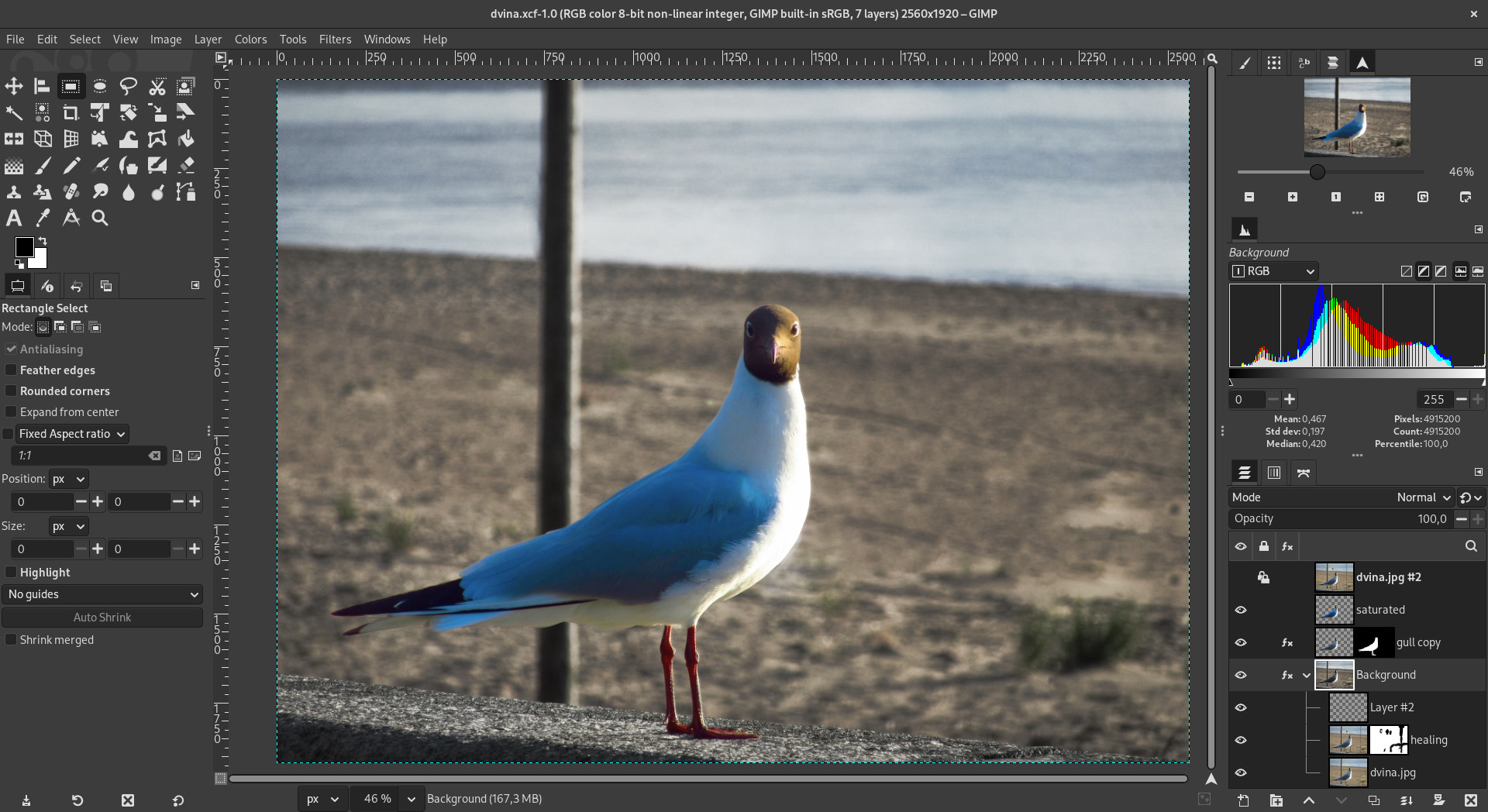 Gull on beach photograph being edited in GIMP. Photo by Iana (CC by-sa 4.0 International)