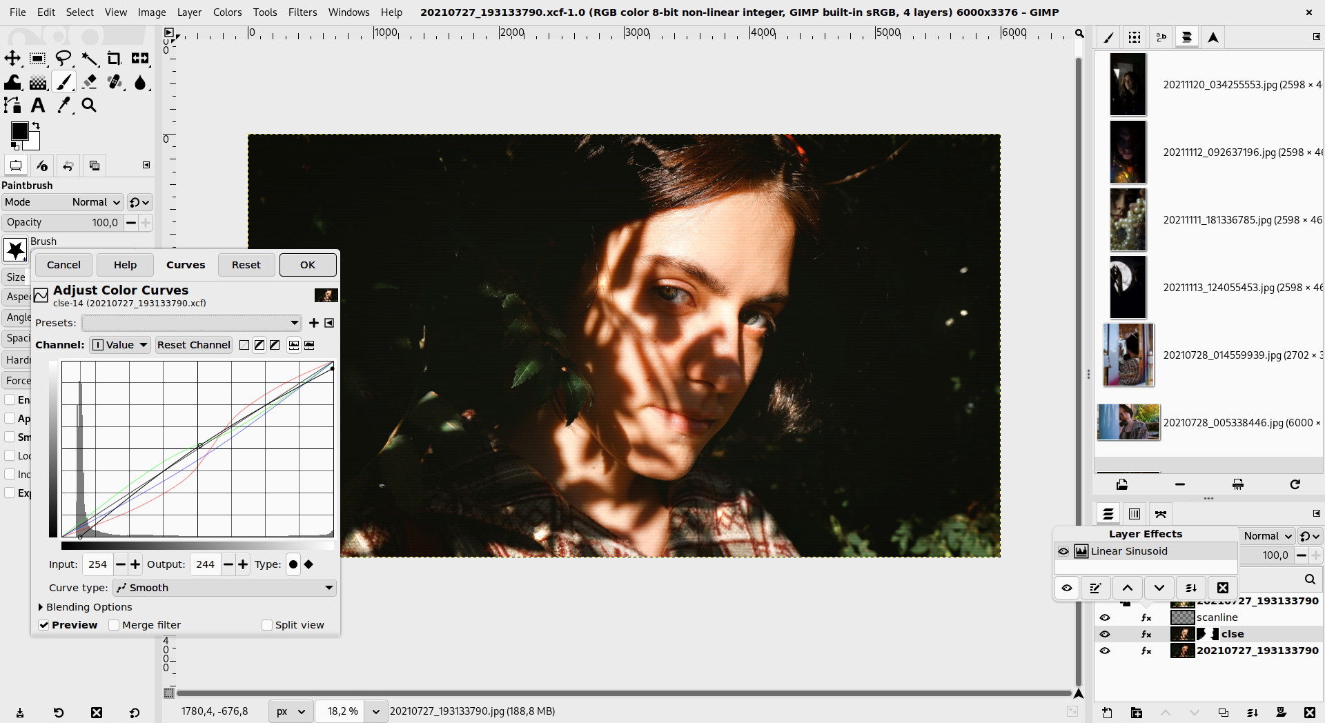 Portrait of Sofiia being edited in GIMP. Photo by Sofia (CC by-sa 4.0 International)