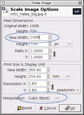 scale-dialog